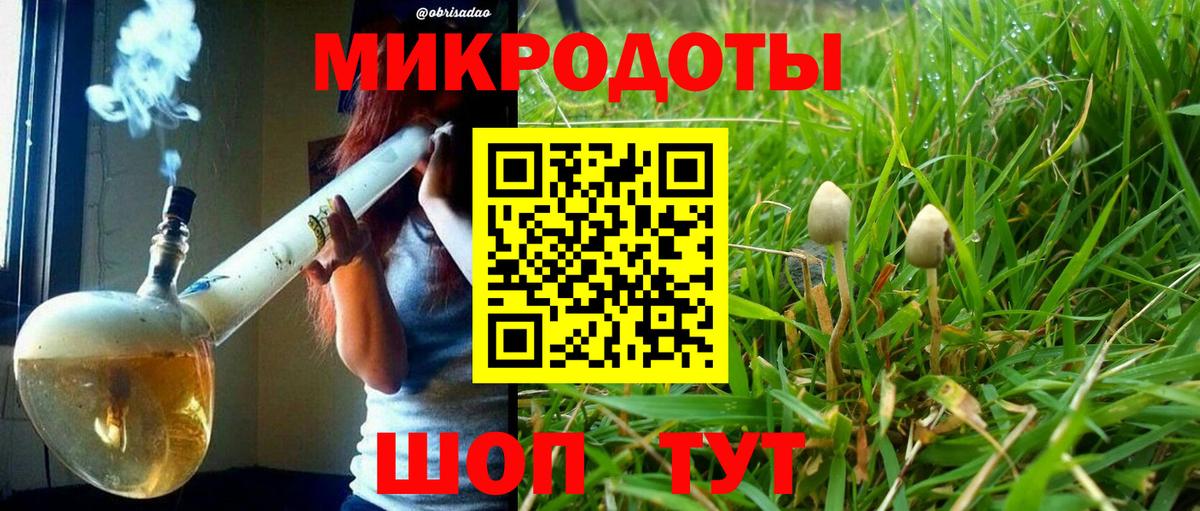 продажа наркотиков  Галлюциногенные грибы Magic Shrooms  Вход с VPN  Раменское 